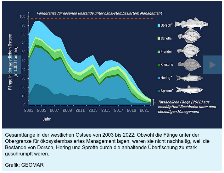 Gesamtfänge in der westlichen Ostsee von 2003 bis 2022: Obwohl die Fänge unter der Obergrenze für ökosystembasiertes Management lagen, waren sie nicht nachhaltig, weil die Bestände von Dorsch, Hering und Sprotte durch die anhaitende Überfischung zu stark geschrumpft waren. Grafik: GEOMAR